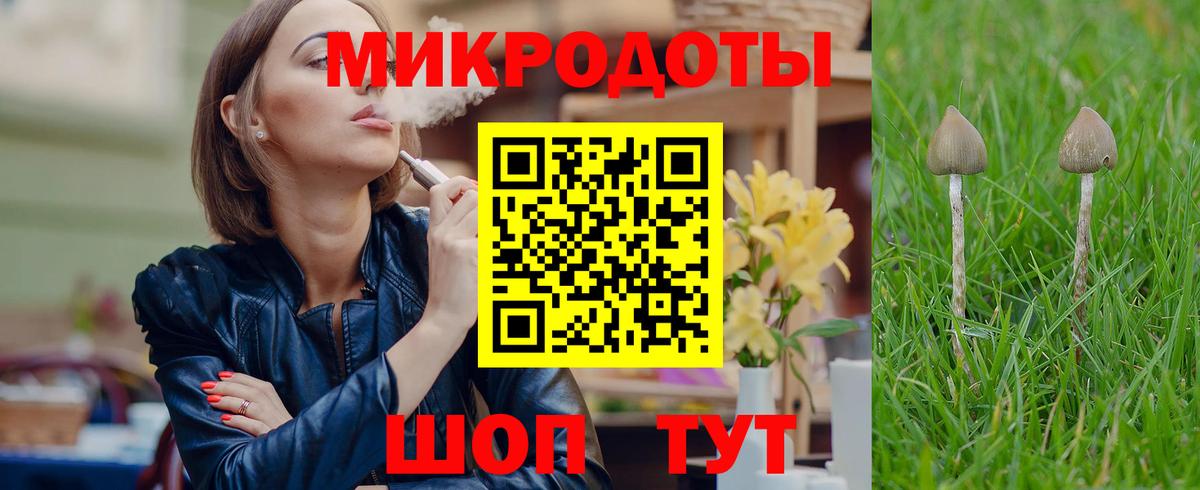 Галлюциногенные грибы Magic Shrooms Сальск