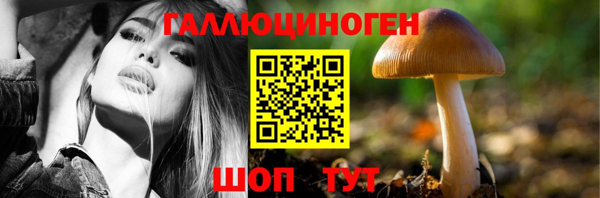 Псилоцибиновые грибы ЛСД  Вход с VPN  Сальск  Галлюциногенные грибы Psilocybe 